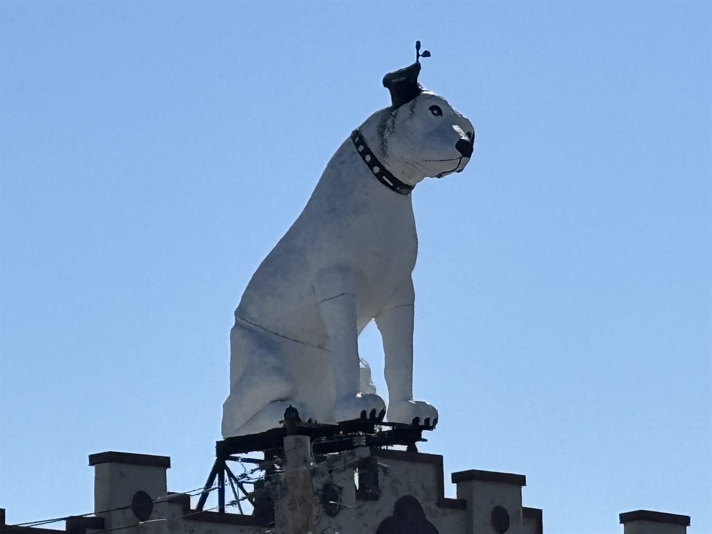 Nipper, the giant statue of the RCA dog, standing on the roof of a building in Albany against a clear sky